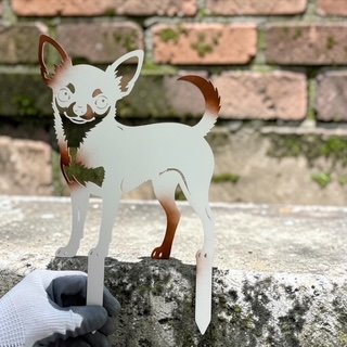CHIHUAHUA BIAŁY BRĄZOWY METALOWY